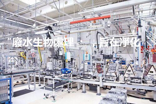 “廢水生物處理，旨在凈化水源，守護碧水藍天”
